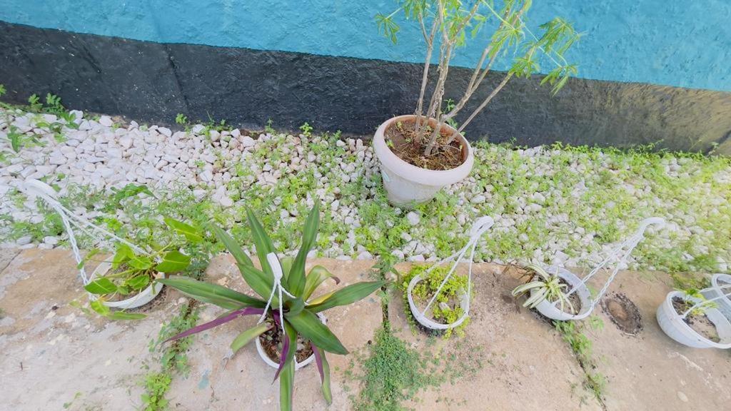 Gallivanters Hostel Dar-es-Salaam Eksteriør bilde